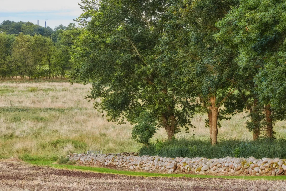 Land properties in Osun state