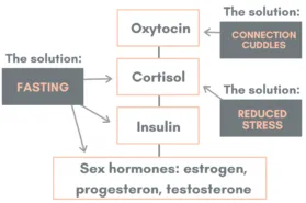 full cycle hormones intermittent fasting hormonista barbara geldert metabolic switching menopause nutrition estrogen progesterone testosterone puberty menopausal 