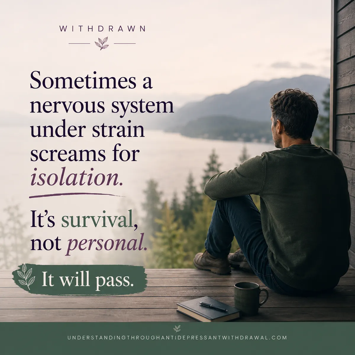 wanting to be alone in antidepressant withdrawal