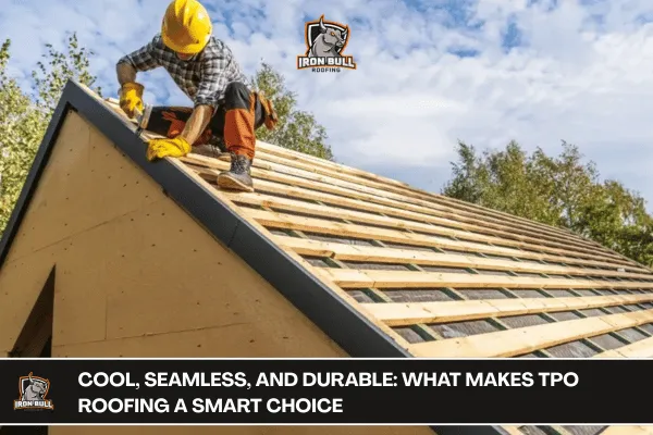 TPO Roofing