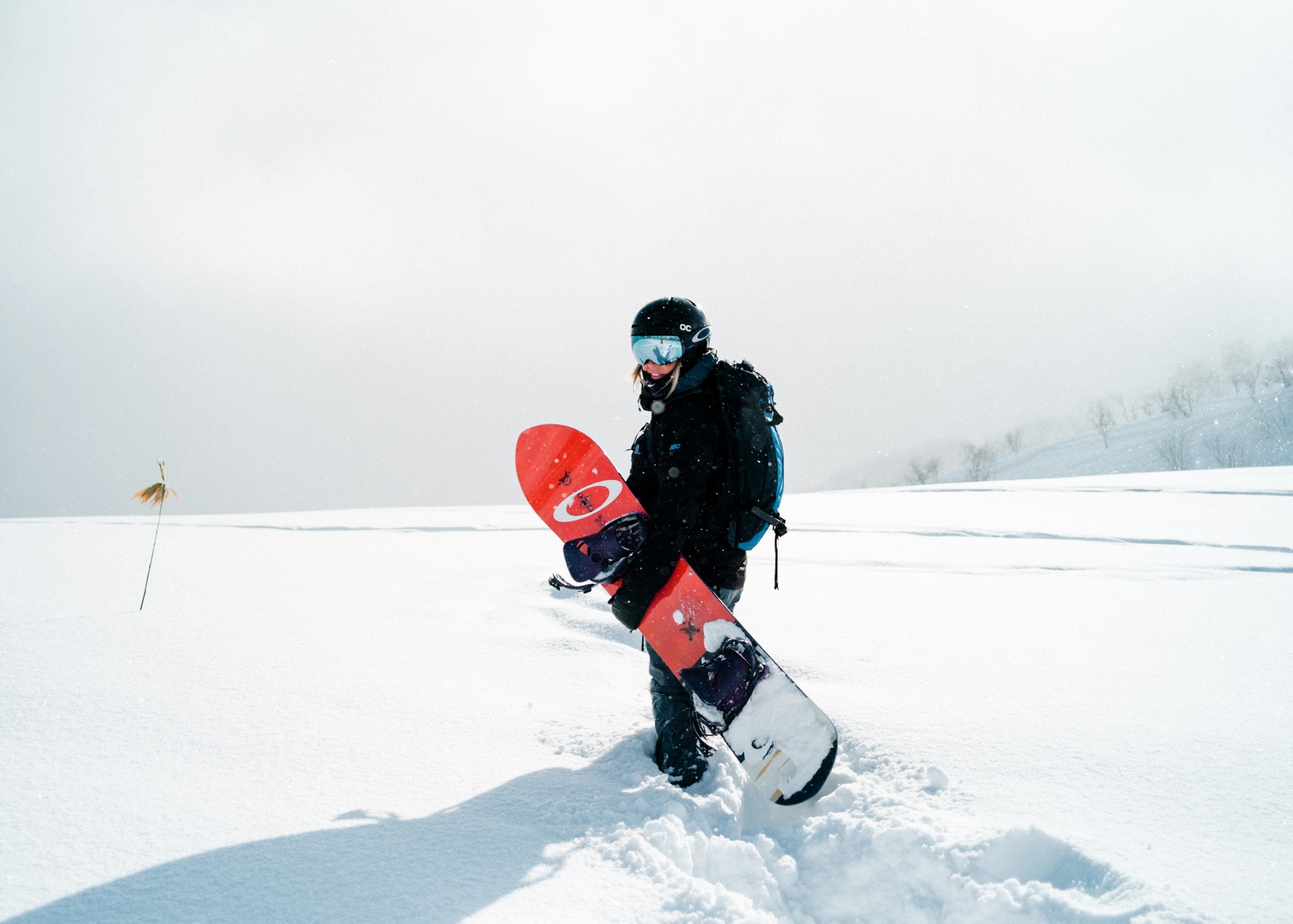 Sports Physical Therapy in Colorado Springs
