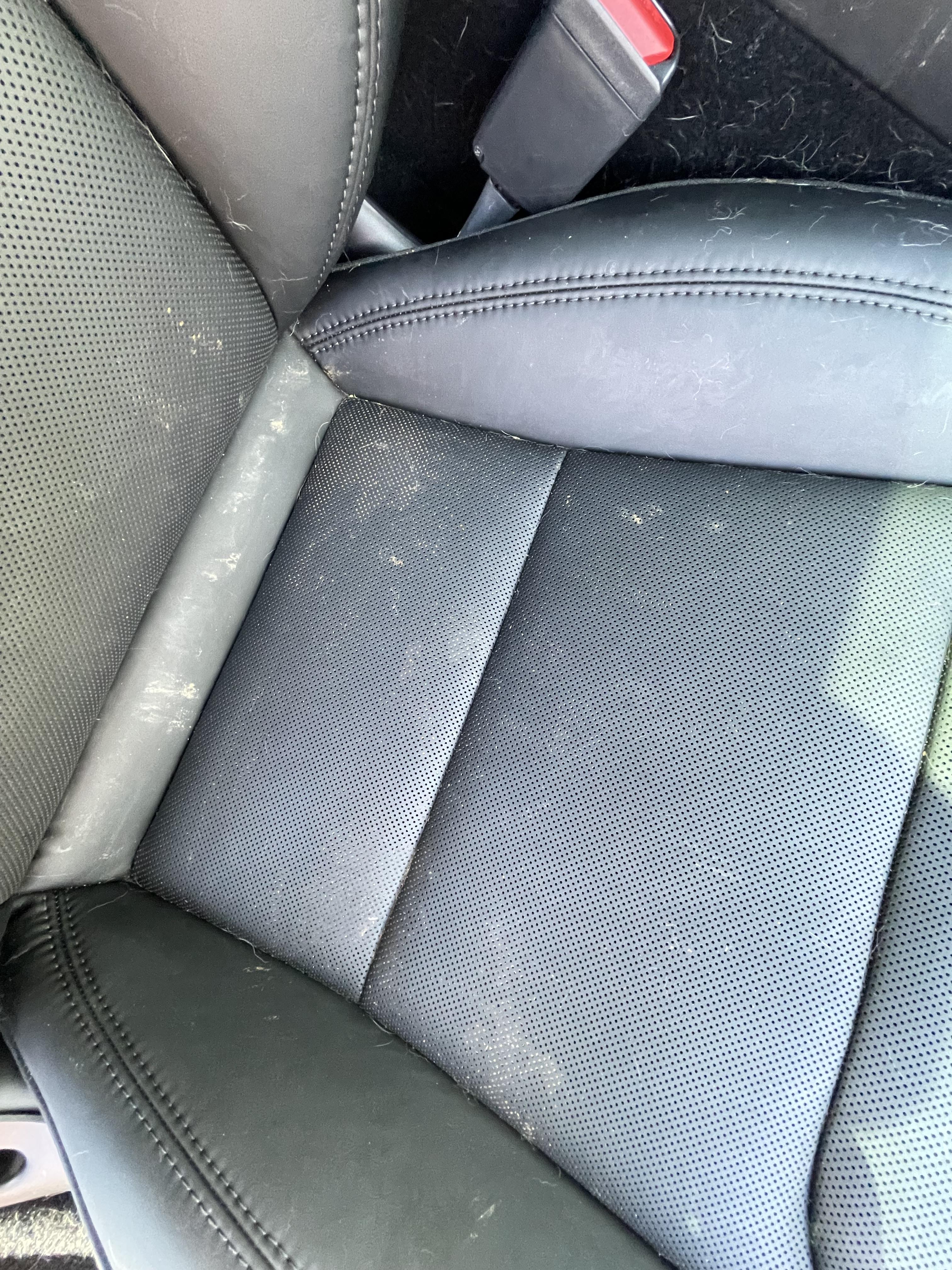 Dirt and mold trapped beneath a vehicle seat contributing to lingering interior odors