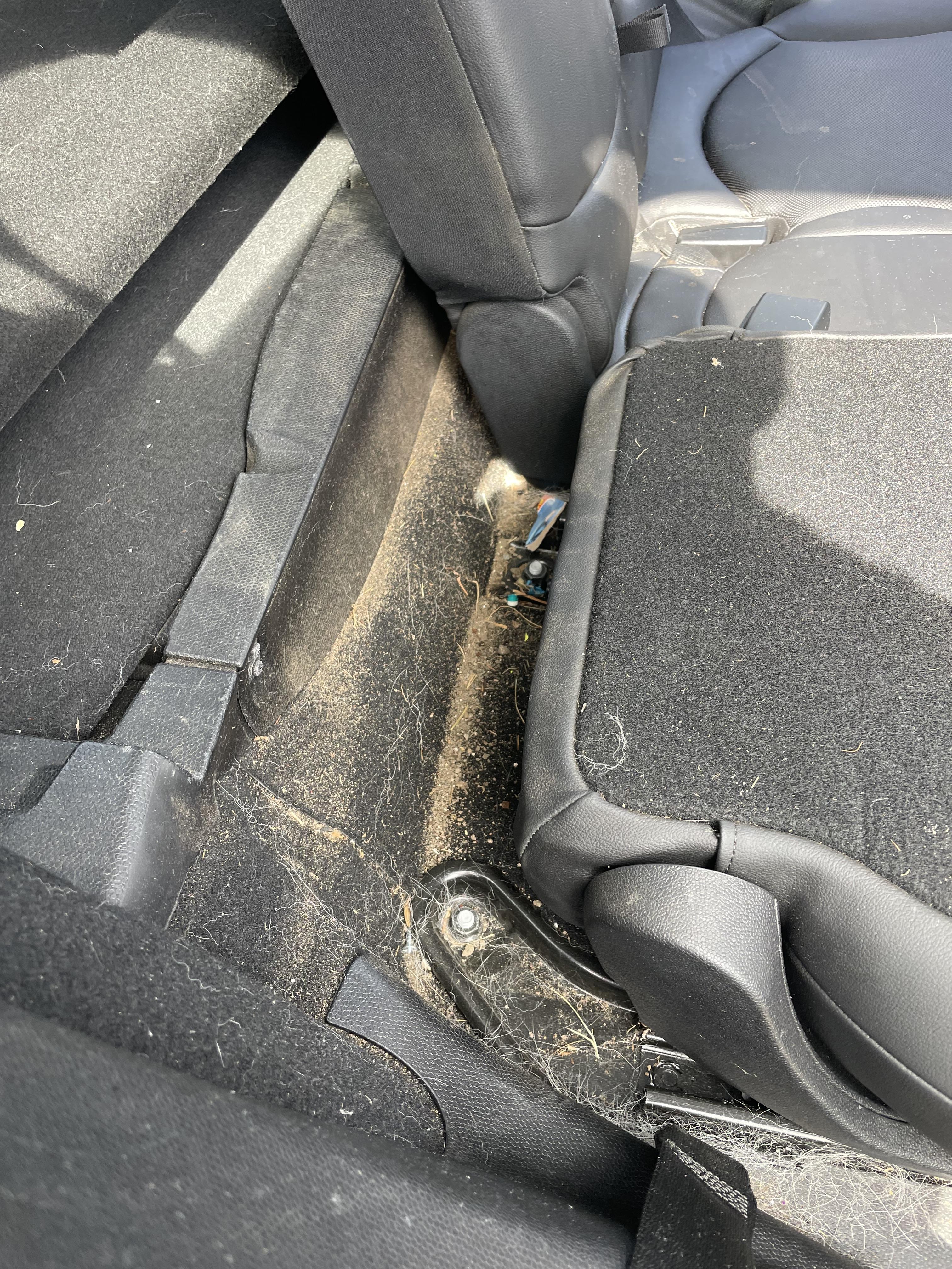 Vehicle door panel and interior showing areas where odor-causing contamination can collect