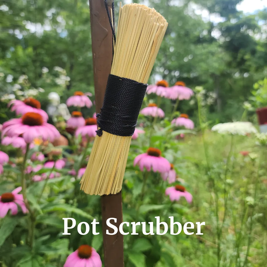 Bare tree against a textured gray wall with pink flowers.
