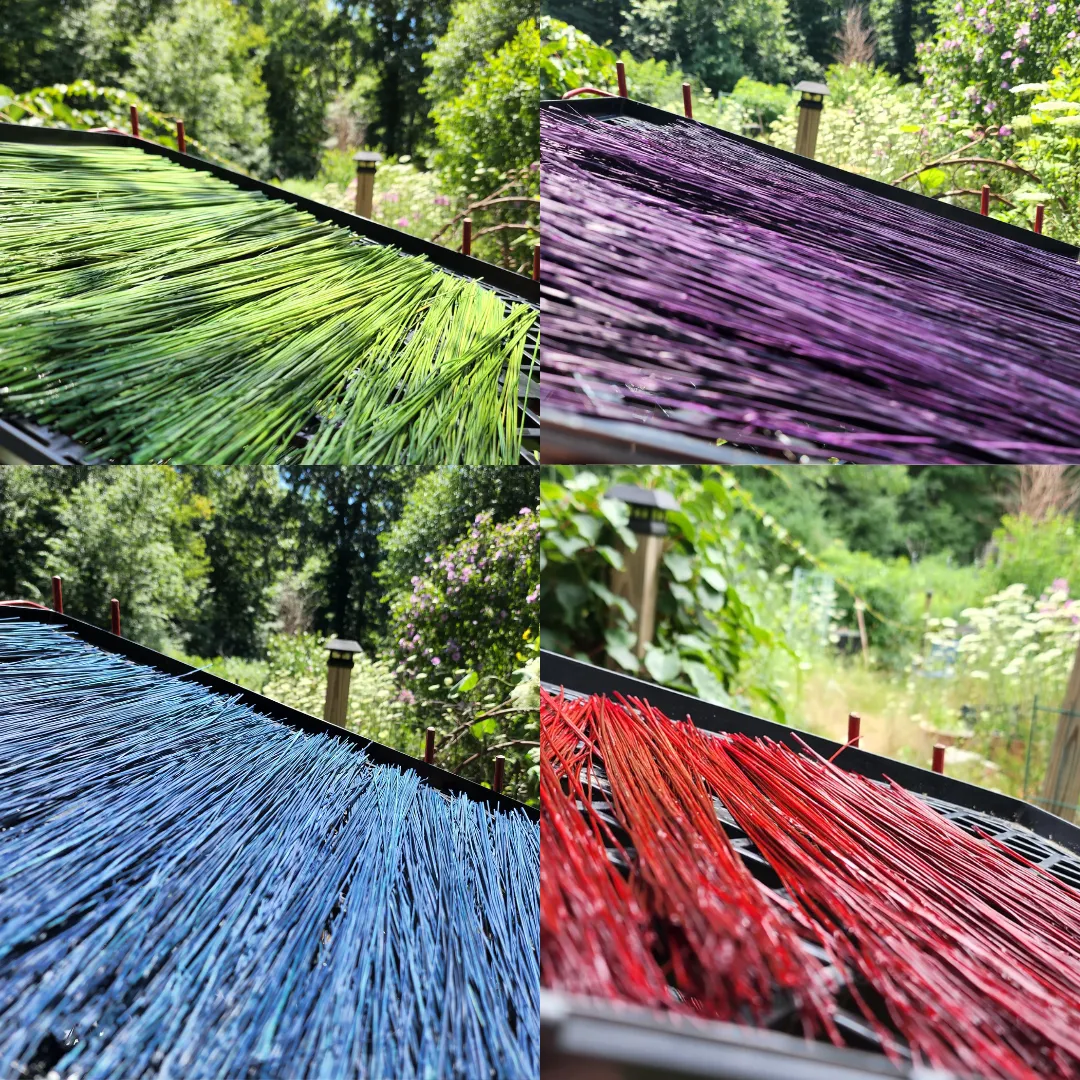 How to Dye Broomcorn Project Photo