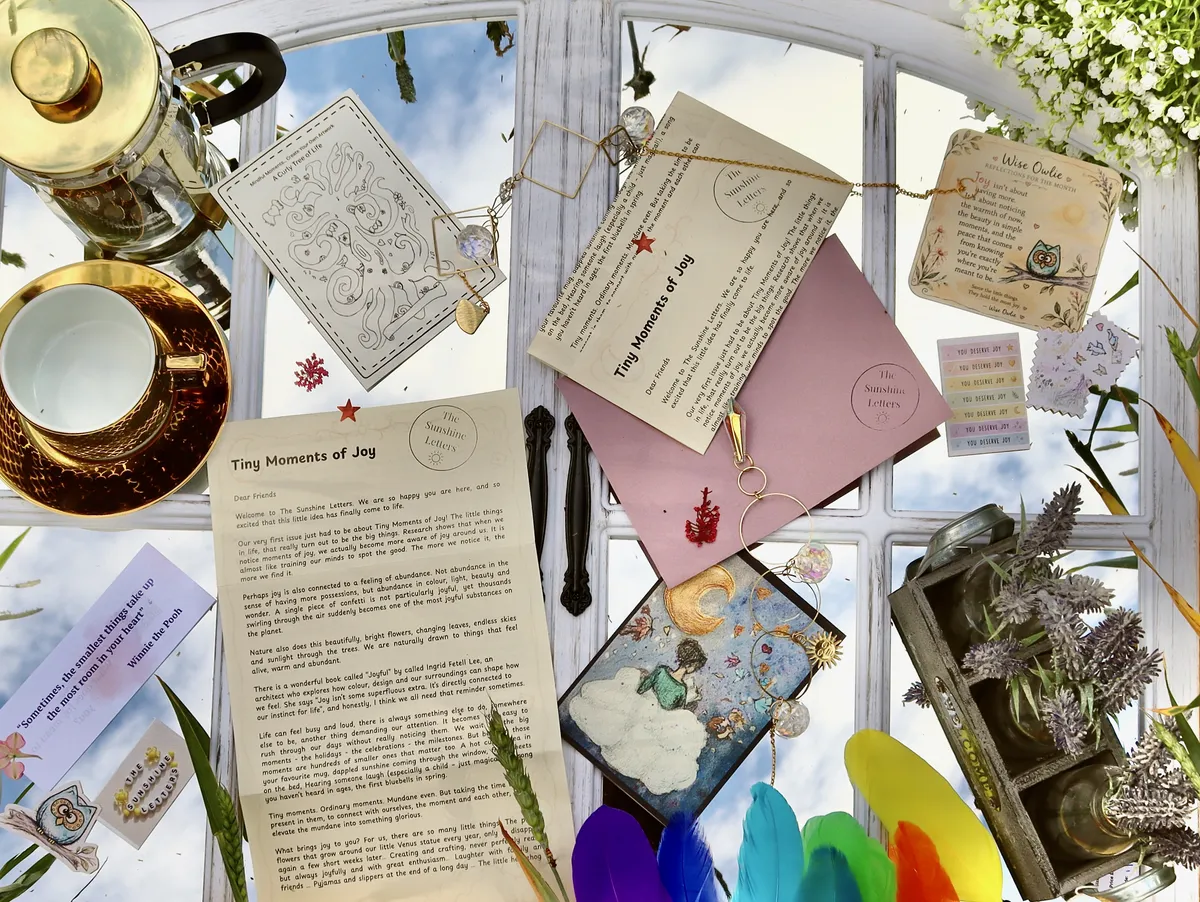 Woman Reading The Sunshine Letters