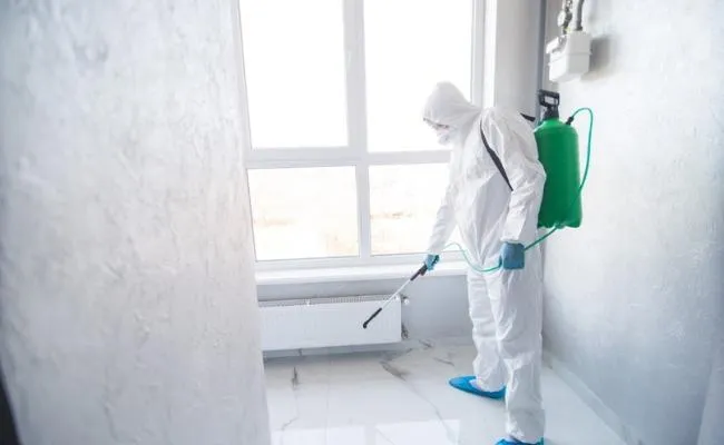 An image of Mold Removal Services in Oakland, CA