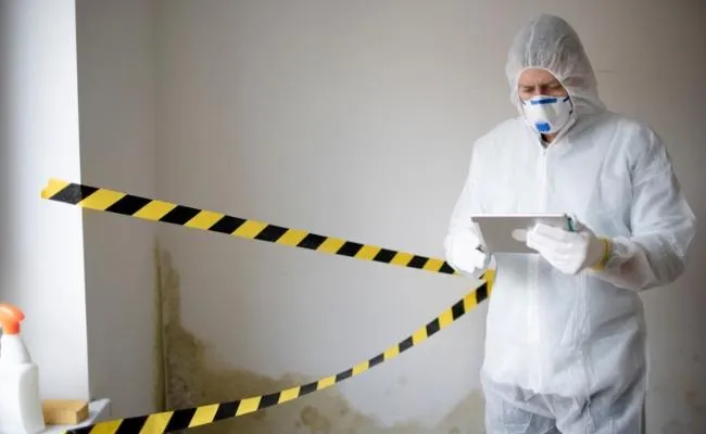 An image of Mold Removal Services in Oakland, CA