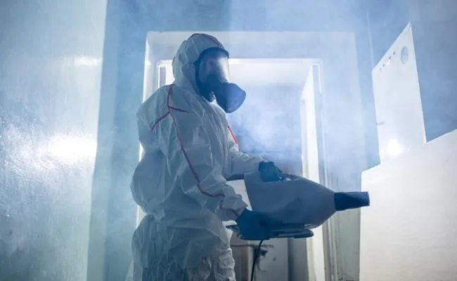 An image of Mold Removal Services in Oakland, CA