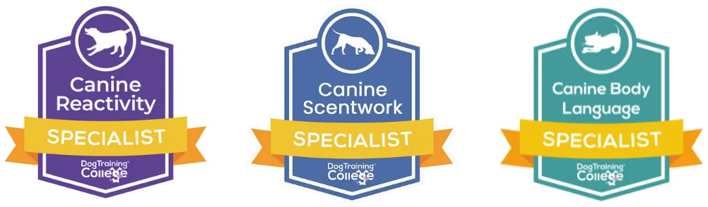 Jess Jones Canine Reactivity, Canine Scentwork, and Canine Body Language Specialist certification from the Dog Training College