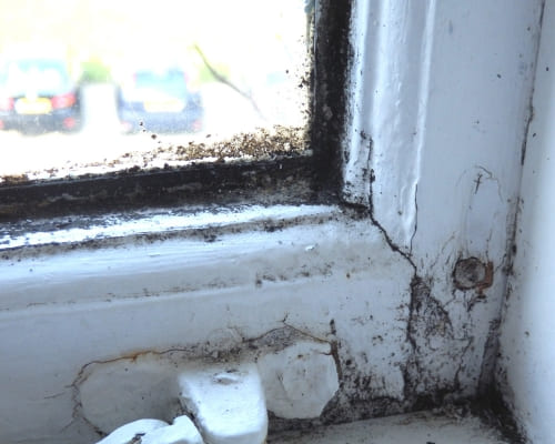 Caulfield Structural Timber Repairs