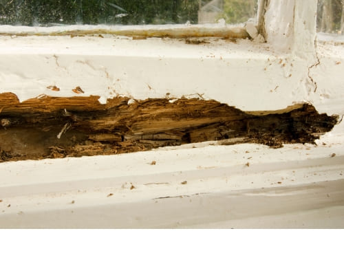 Bentleigh Structural Timber Repairs