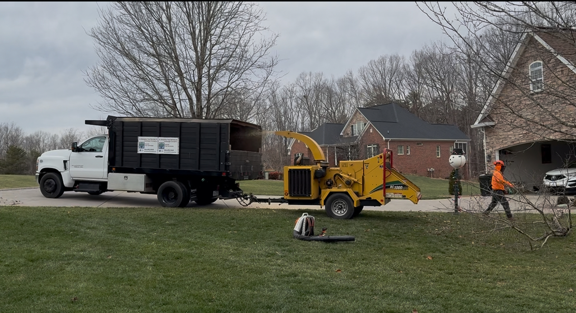 Tree Service in Yadkn County