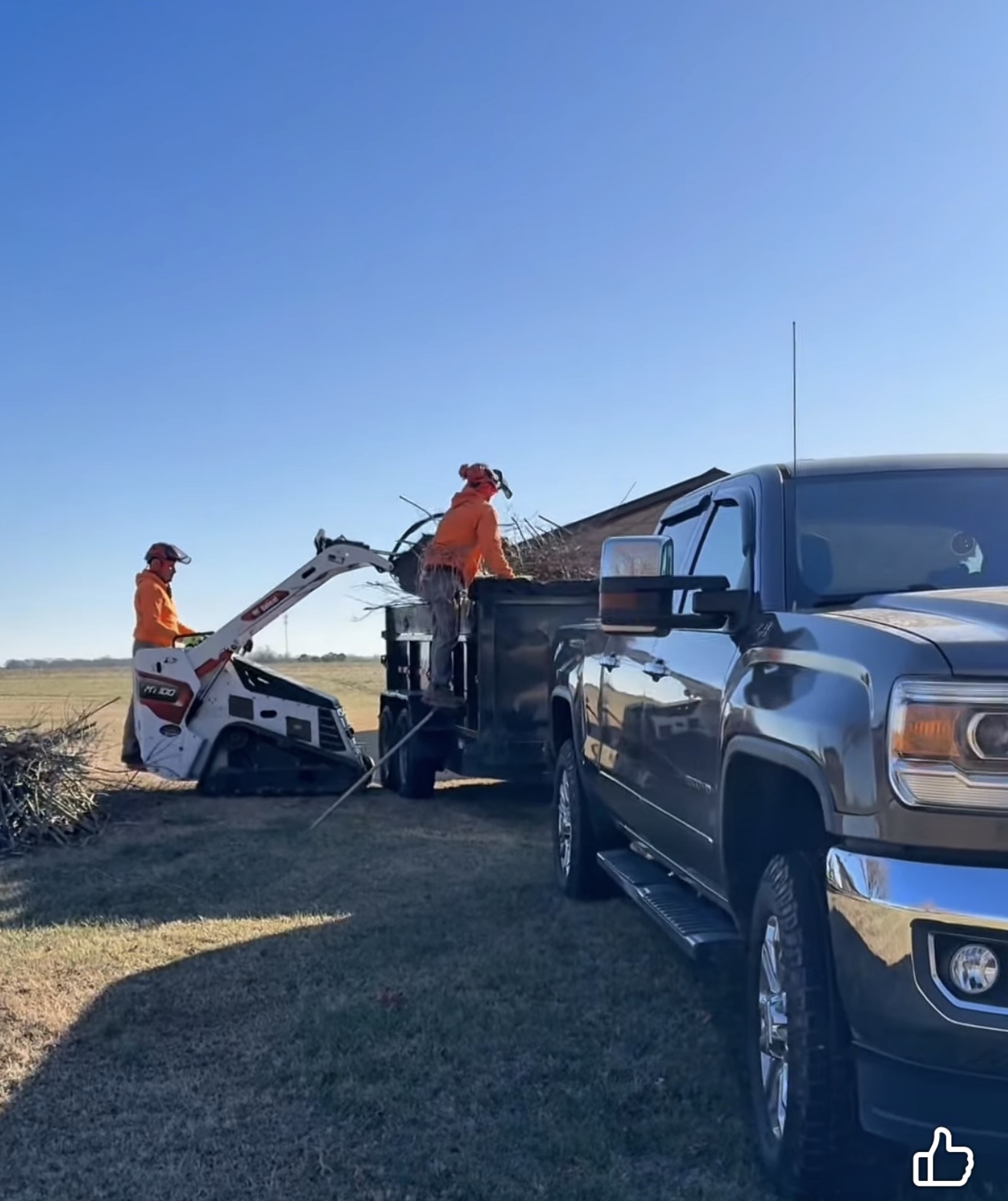 Tree Service in Yadkn County