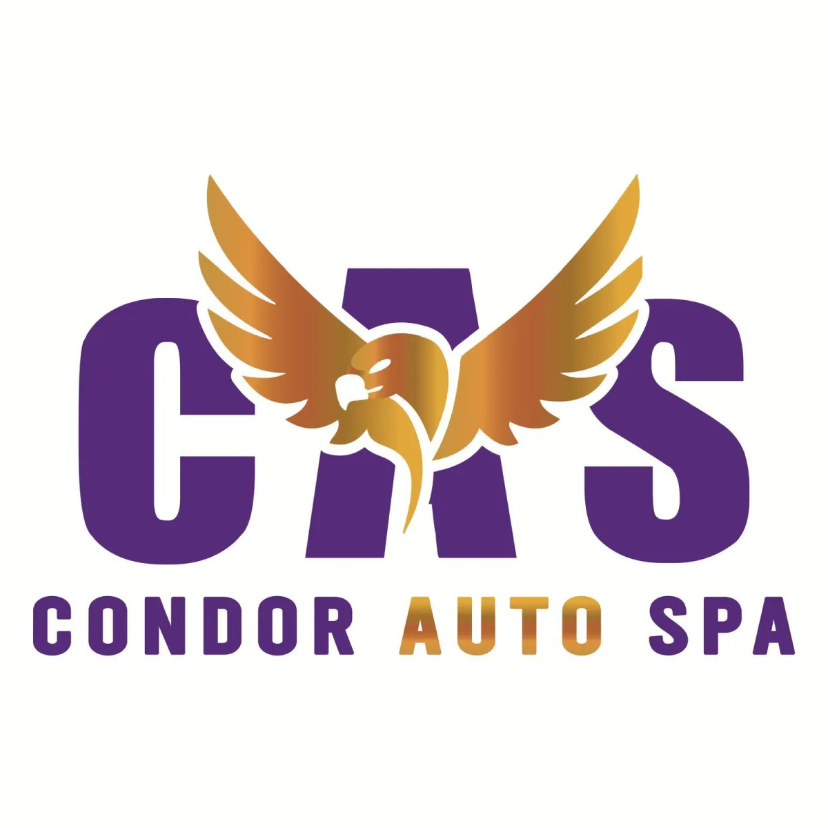 Concrete Contractor in Ventura County CA
