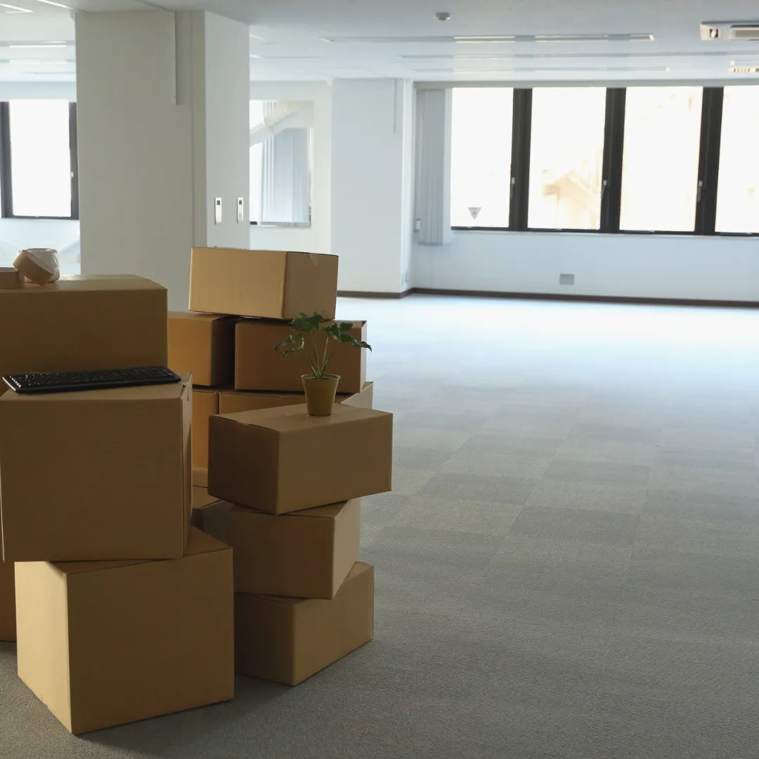 commercial cleaning Southern Maryland, office cleaning Mechanicsville MD, janitorial services MD, business cleaning Southern Maryland, commercial floor care MD, professional cleaners Mechanicsville, commercial cleaning company Maryland