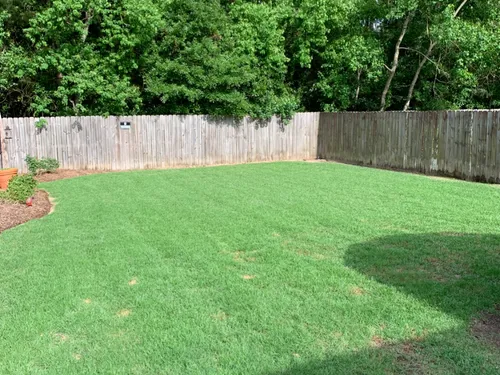 Recent landscaping work with garden beds