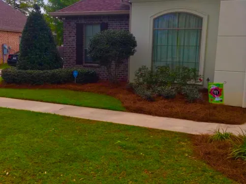 Recent landscaping work showing outdoor lighting