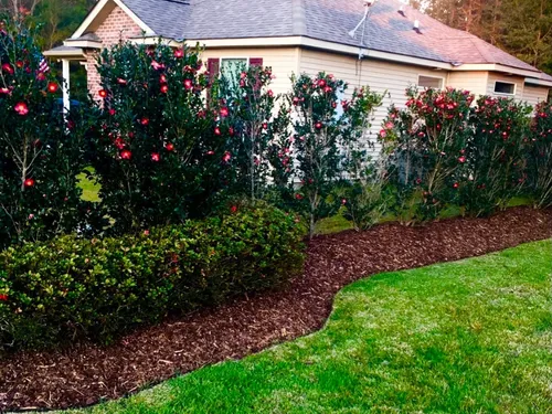 Recent landscaping work showing manicured lawn