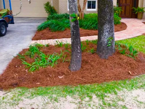 Recent landscaping work showing fresh sod