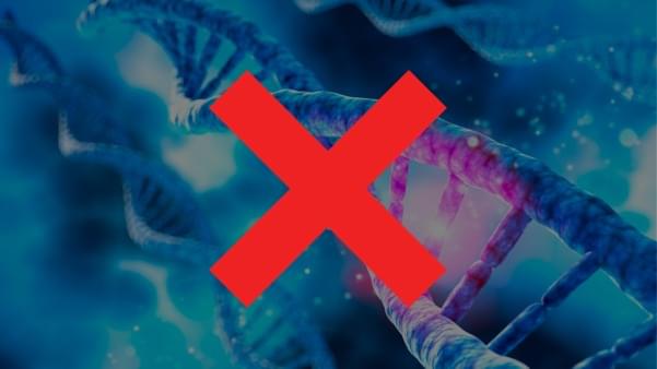 DNA mis