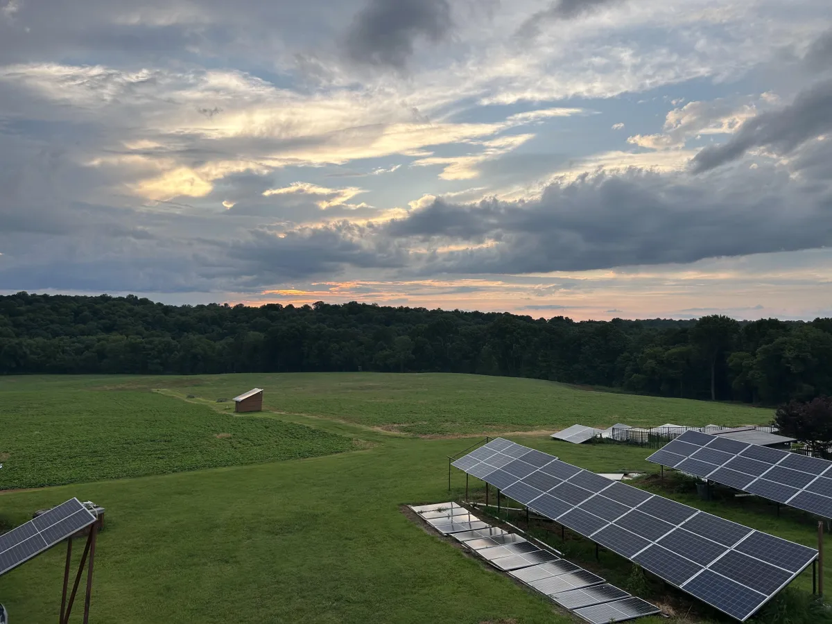 solar panels on a ground mount system