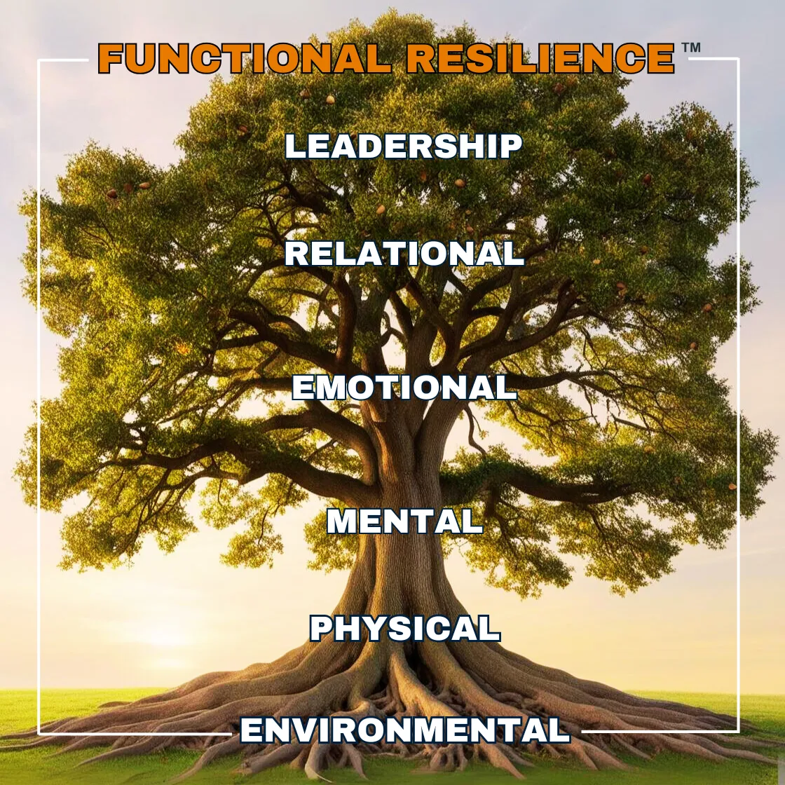 Functional Resilience Framework— six dimensions of executive performance: biological, cognitive, emotional, relational, leadership, environmental