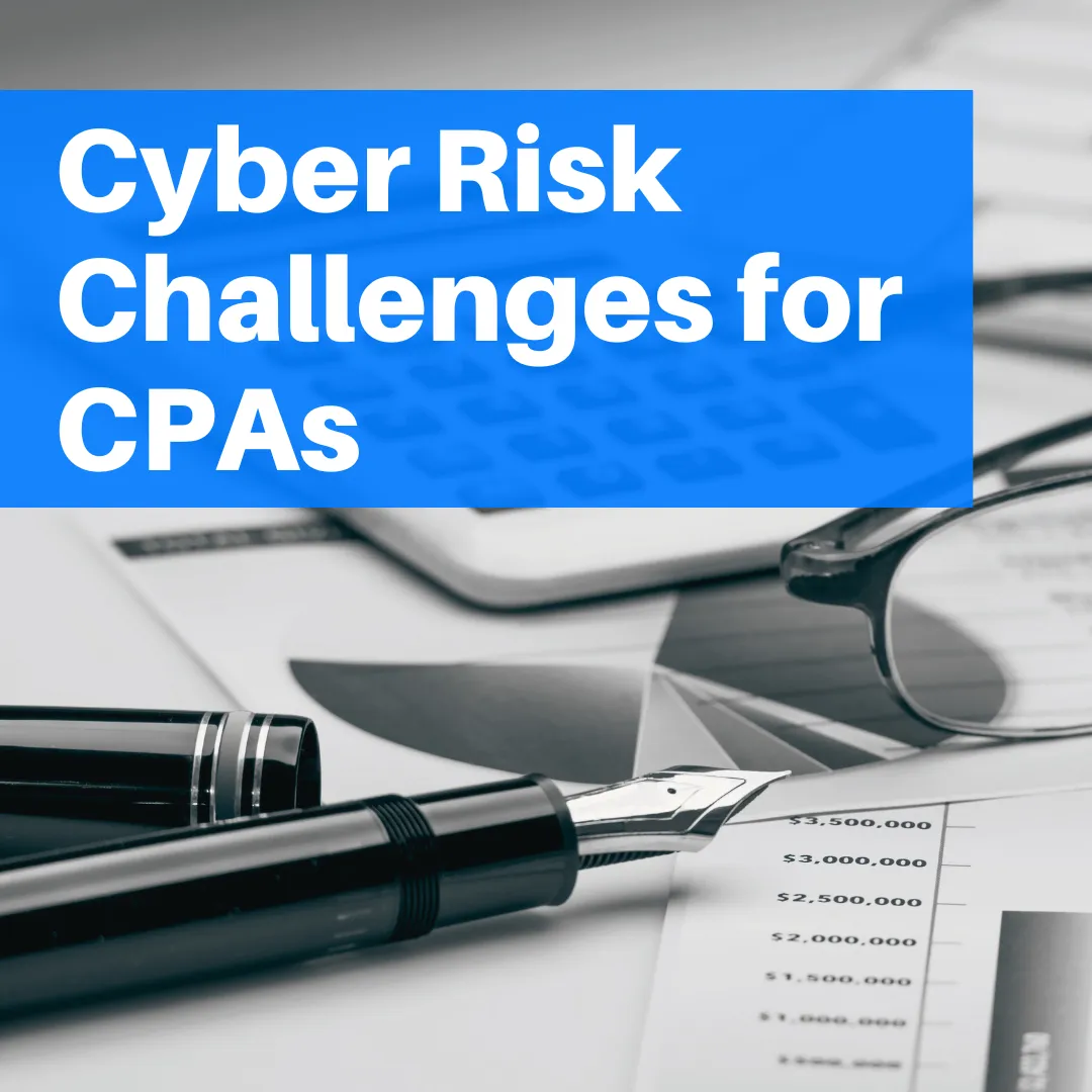 Cyber Risk Challenges for CPAs