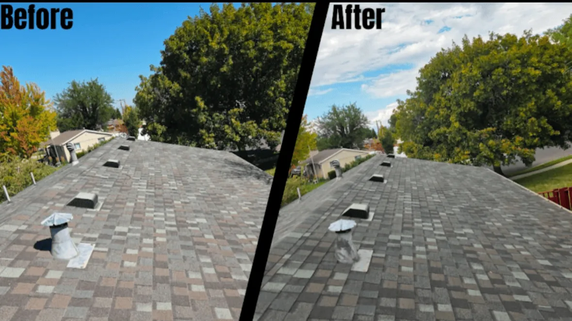 Roof Shingle Rejuvenation Spindale, NC