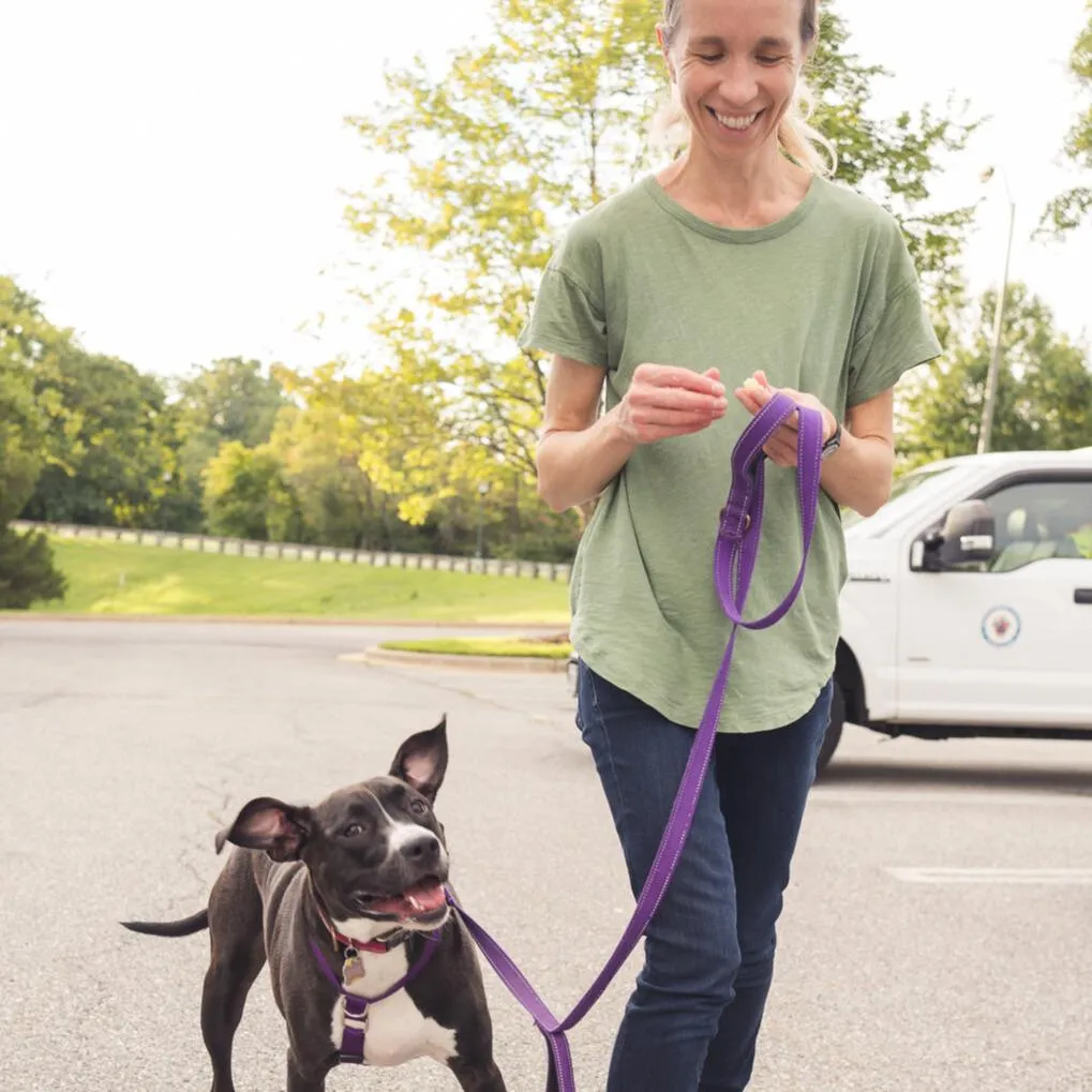 Woman smiling and walking her black and white dog on a harness and leash. The dog appears to be smiling with mouth open, ears up, and they are looking toward the camera.