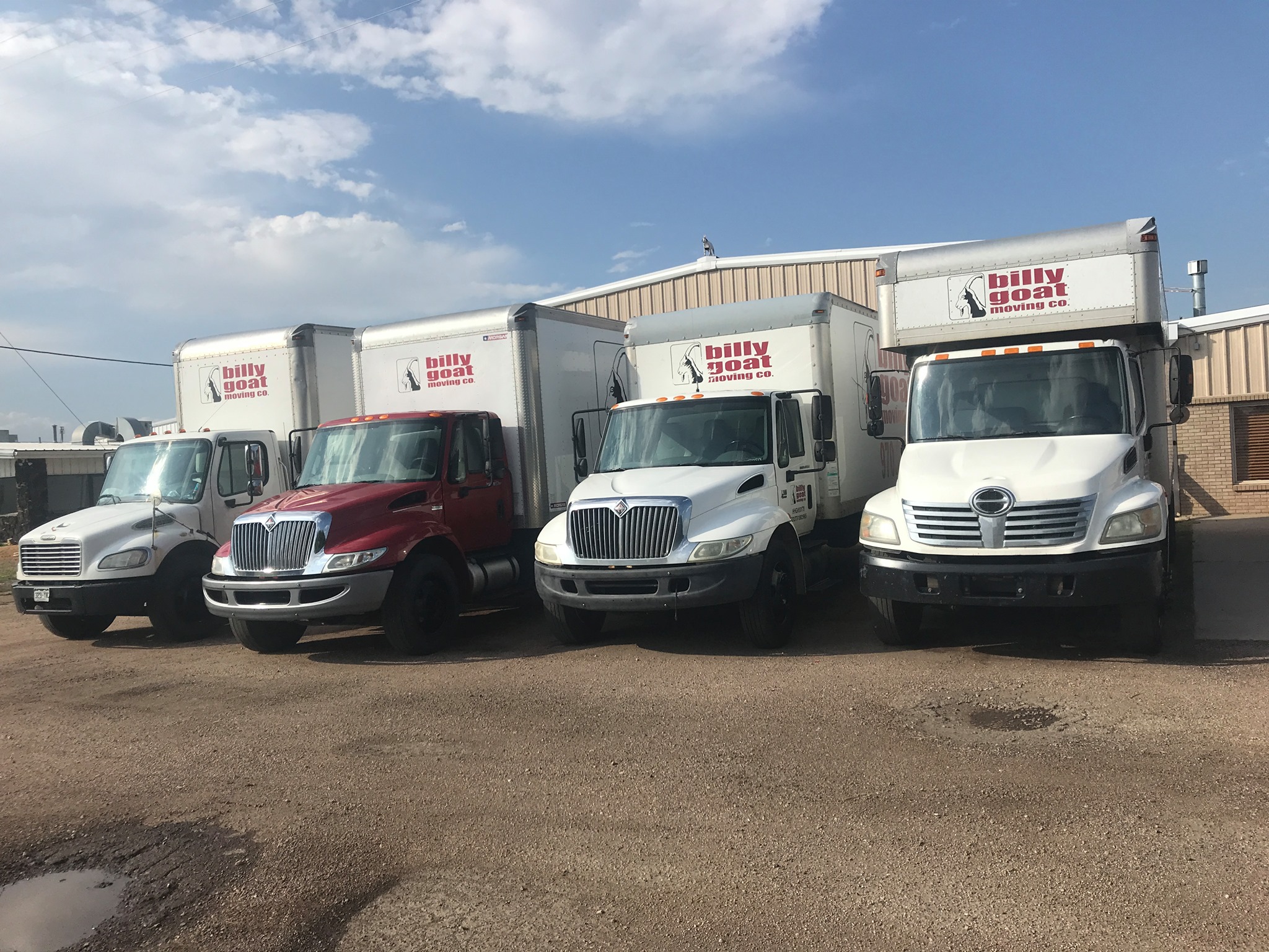 Professional Fort Collins movers with moving trucks prepared for local moves