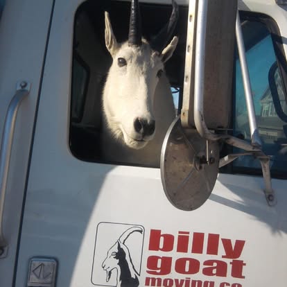 Billy Goat Moving Team Getting Ready To Move a Fort Collins Apartment 
