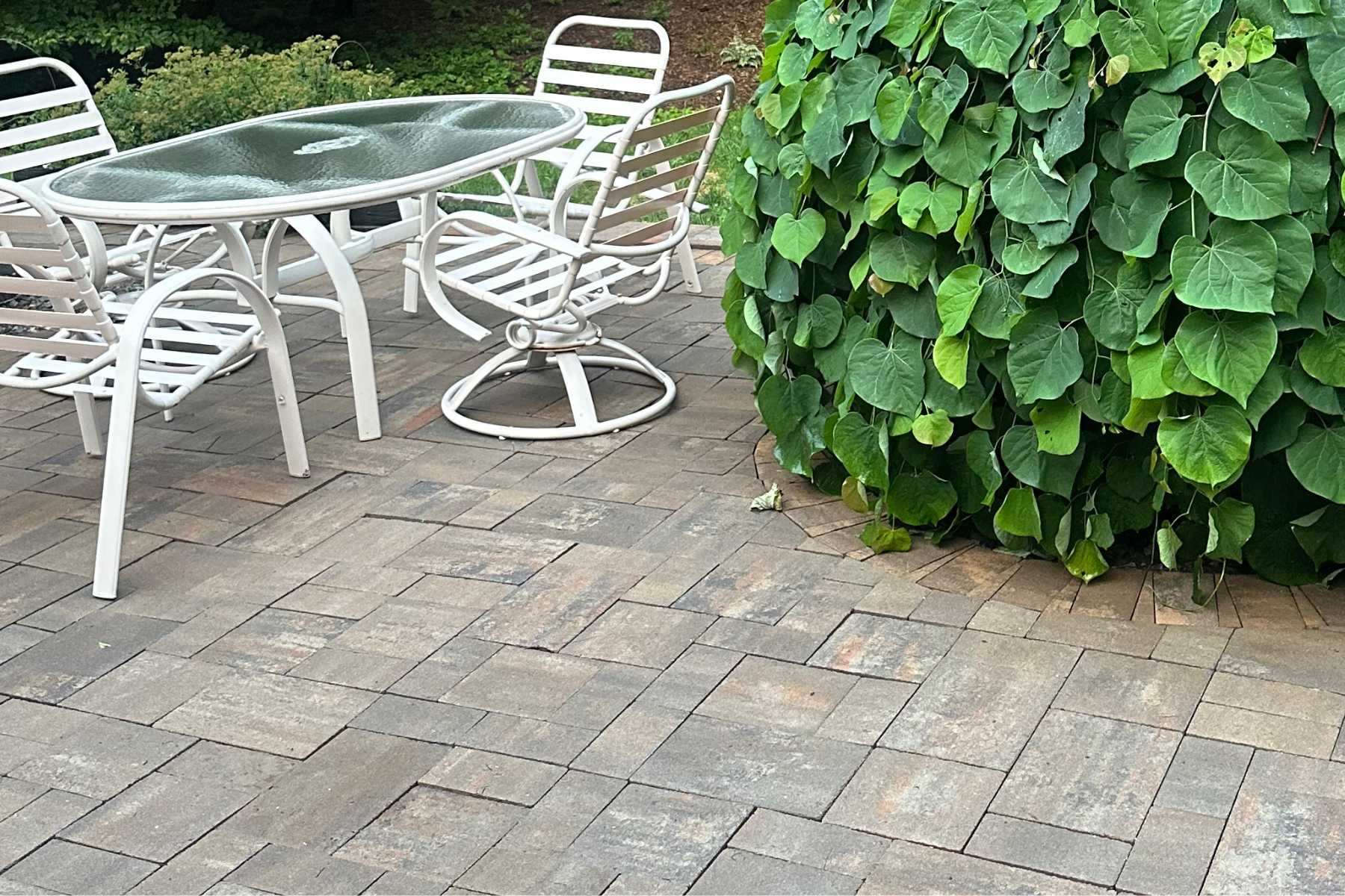 Paver Cleaning job in Rhinebeck, NY