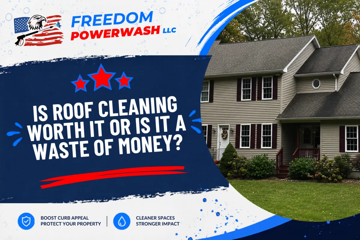 Is Roof Cleaning Worth It or Is It a Waste of Money?