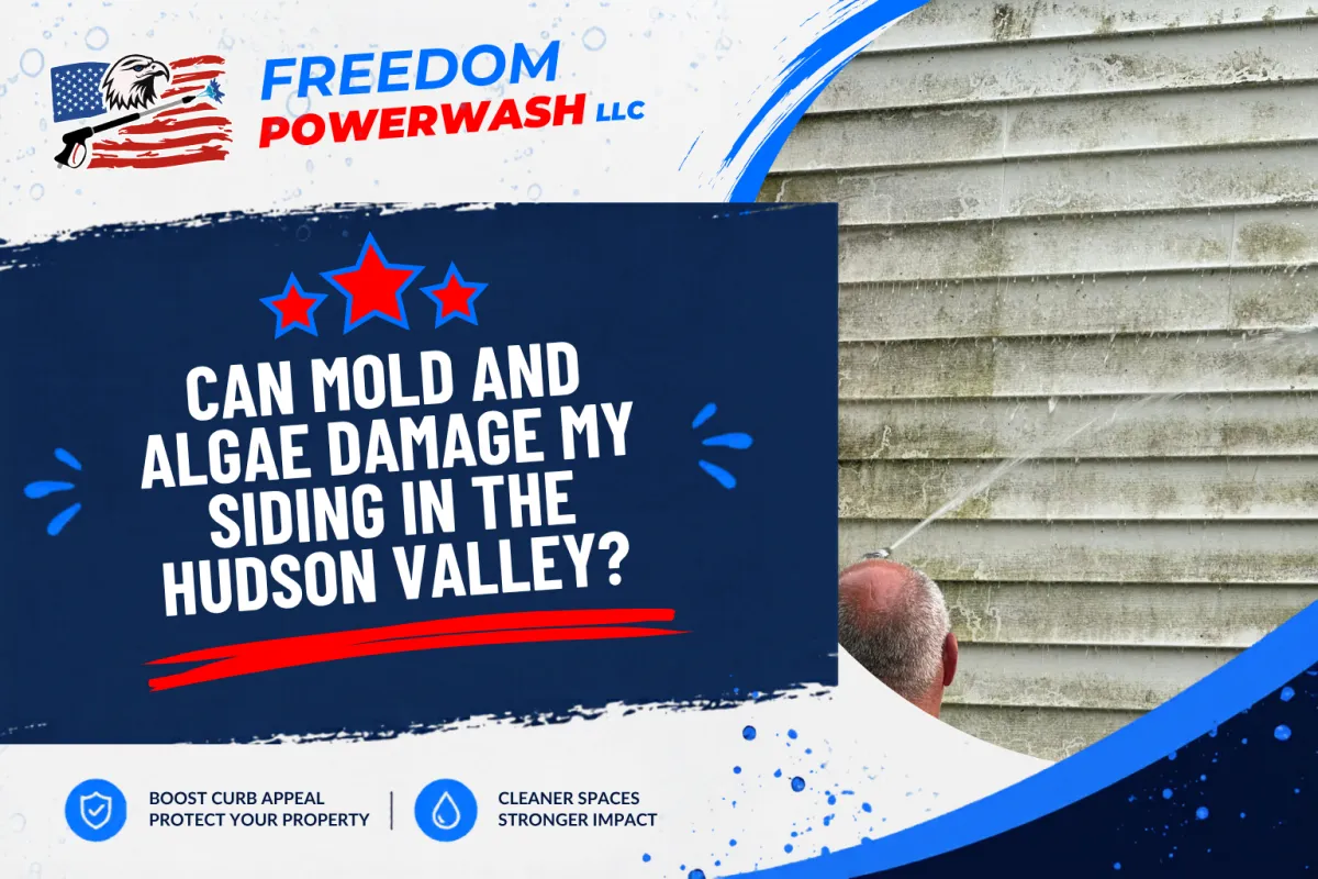 Can Mold and Algae Damage My Siding in the Hudson Valley? | What Homeowners Should Know