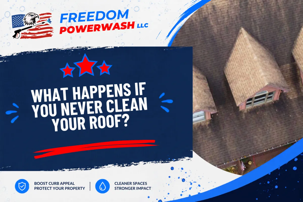 What Happens If You Never Clean Your Roof?