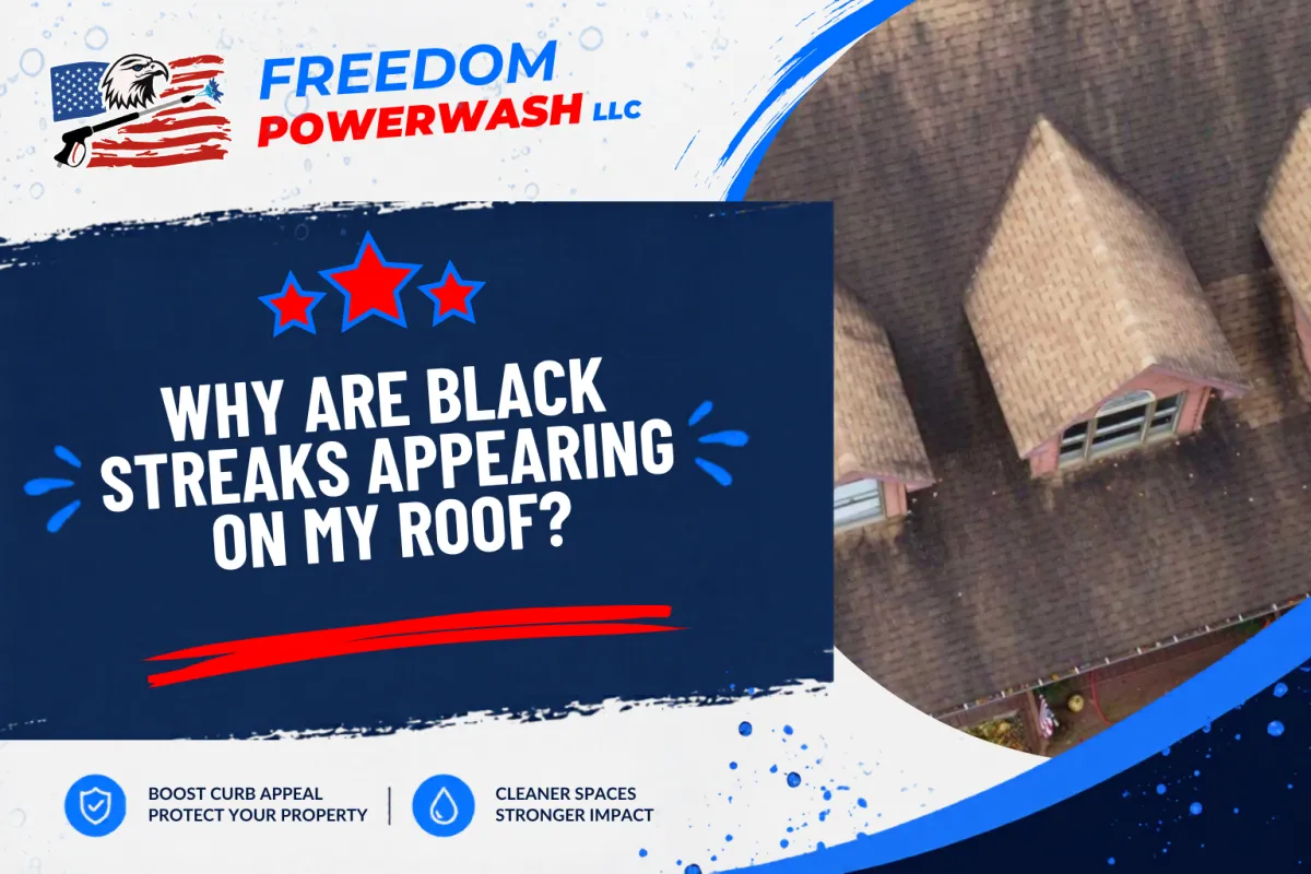 Why Are Black Streaks Appearing on My Roof?