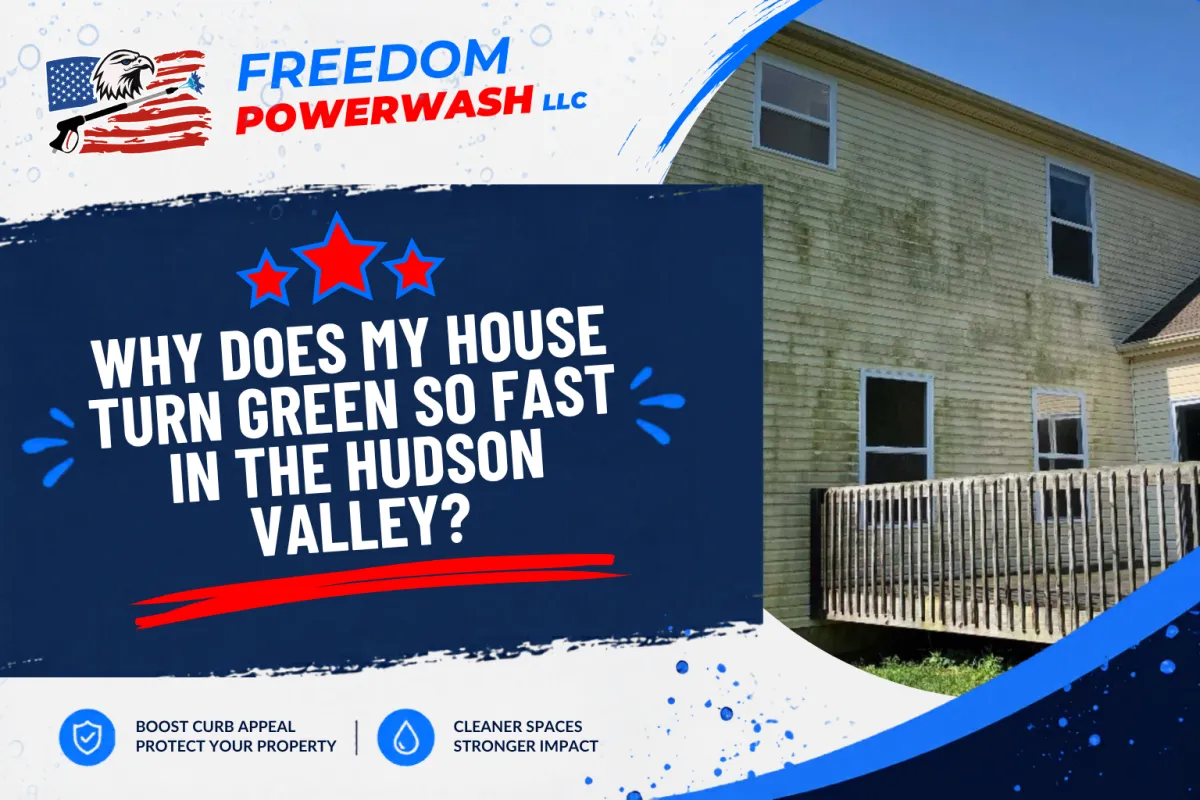 Why Does My House Turn Green So Fast in the Hudson Valley?