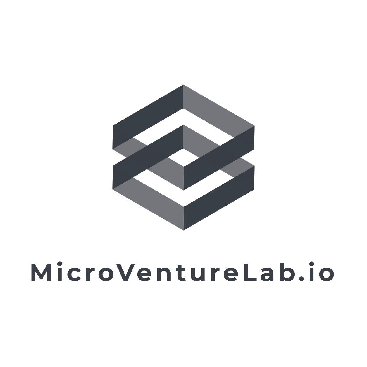 MicroVentureLab Logo