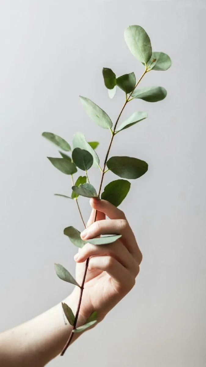 Spiritual formation coach for women in Phoenix AZ