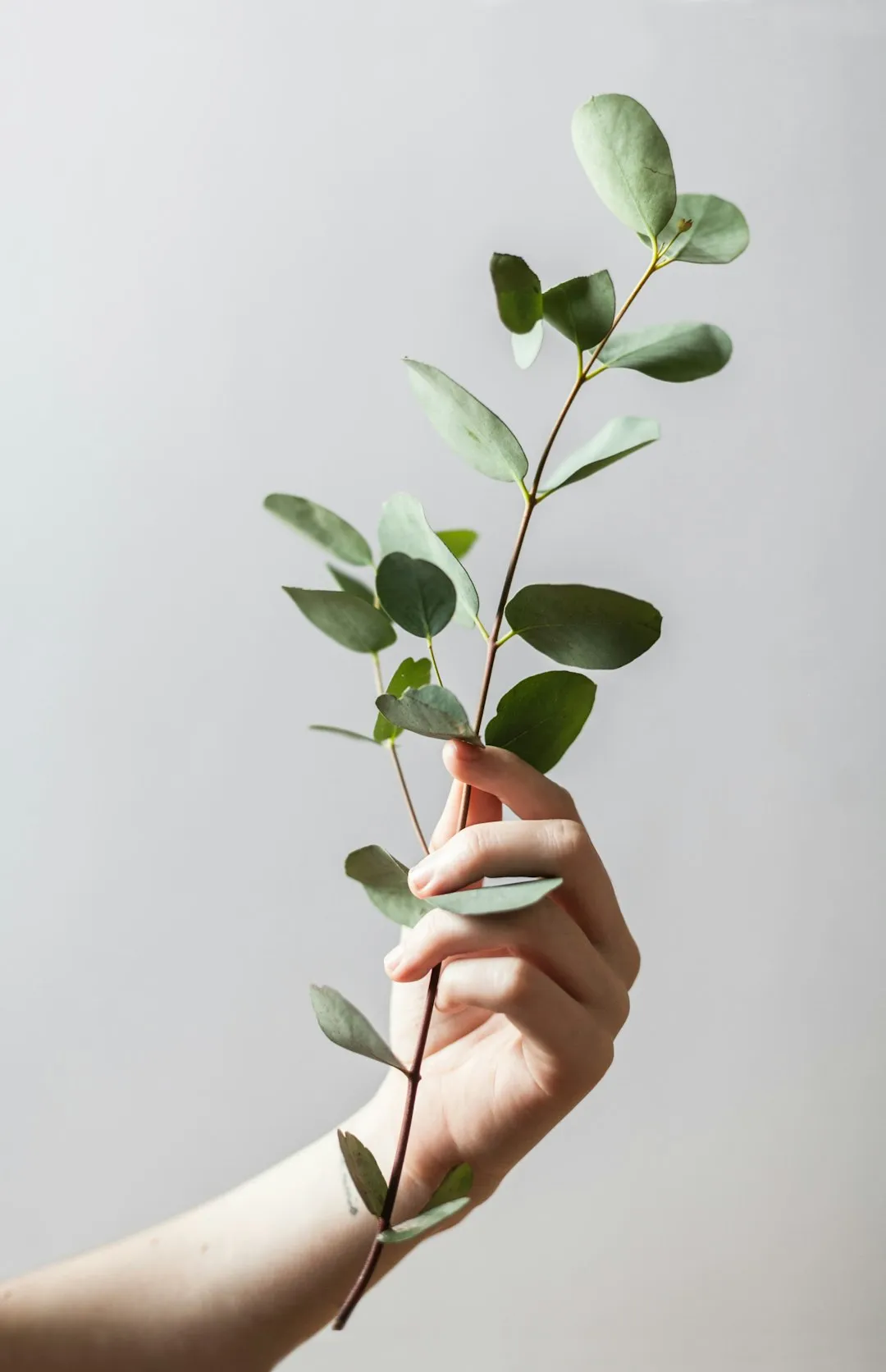 Personal identity coaching for women in Phoenix AZ to rediscover core values and confidence