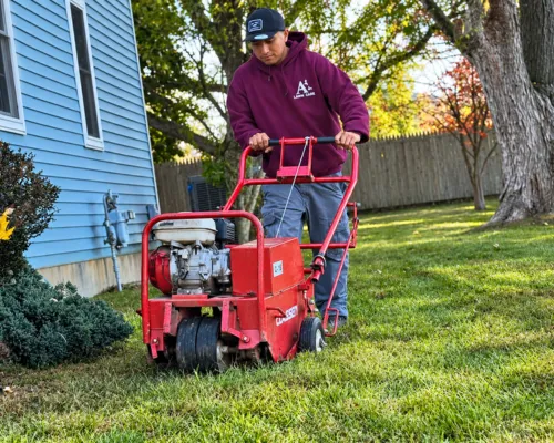 Middletown Spring Cleanup