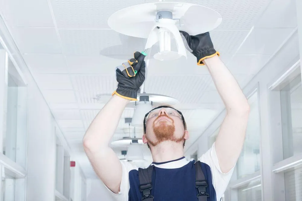 electrician in nerang