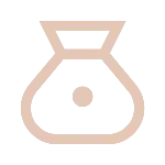 Money Bag Icon