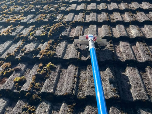 Roof Cleaning & Moss Removal in Uttoxeter