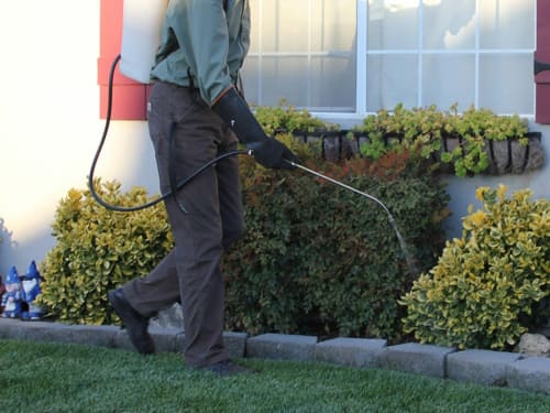 Weed Control & Treatment in Uttoxeter