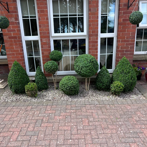 Weed Control & Treatment Uttoxeter