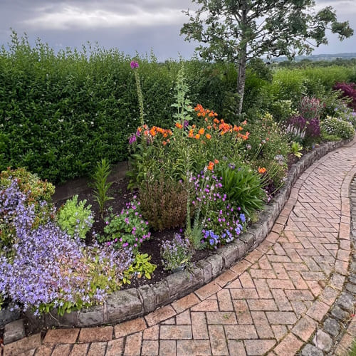 Weed Control & Treatment Uttoxeter
