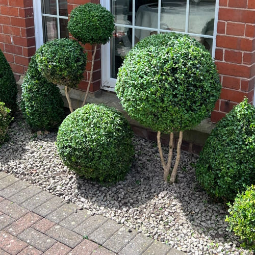 Garden Maintenance Uttoxeter
