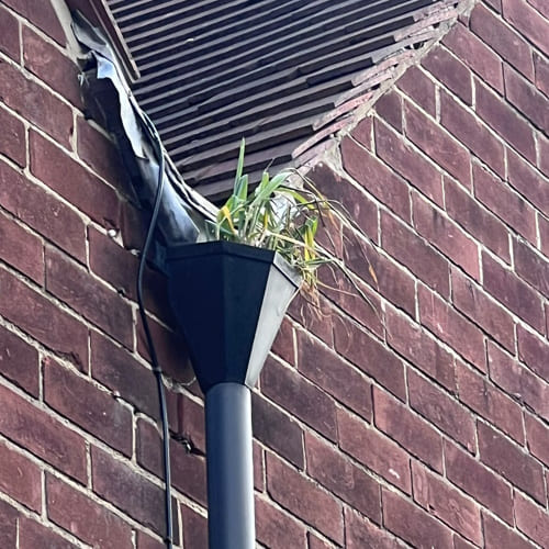 Stone Roof Cleaning & Moss Removal